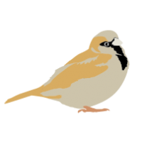 SPARROW CLIPART Archives - Animal Clip Arts