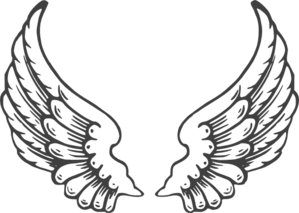 Eagles wings clipart