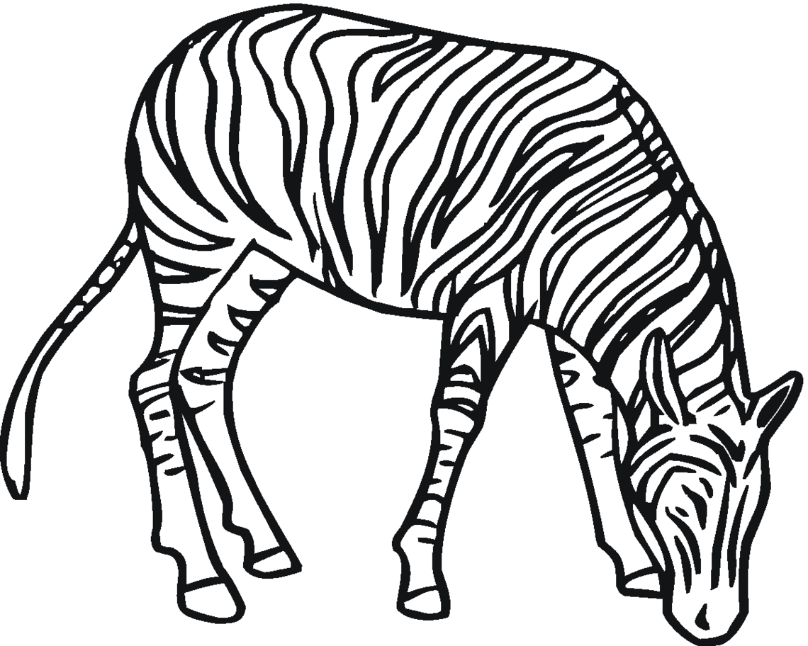 Zebra Line Drawing Clipart - Free to use Clip Art Resource