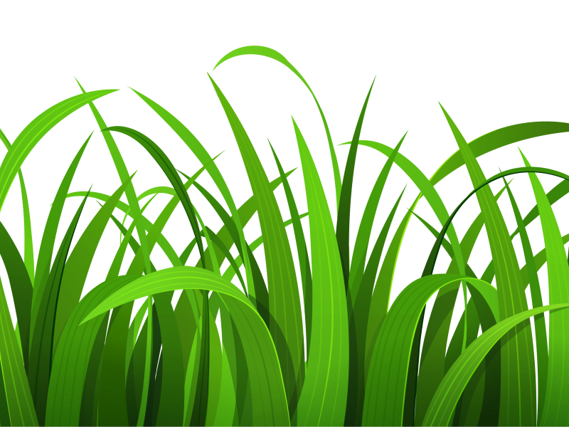 Grass outline border free clipart images - Clipartix