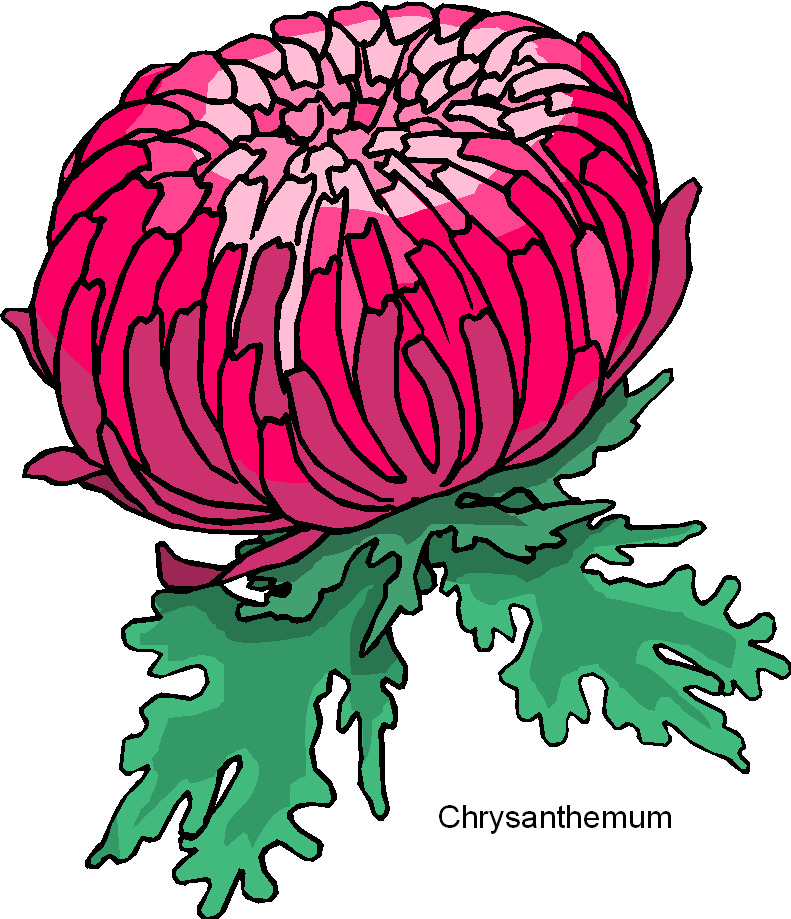 Free Flower Clipart