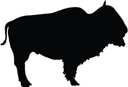 Bison Silhouette Clipart