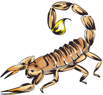 Scorpion clip art and google search on
