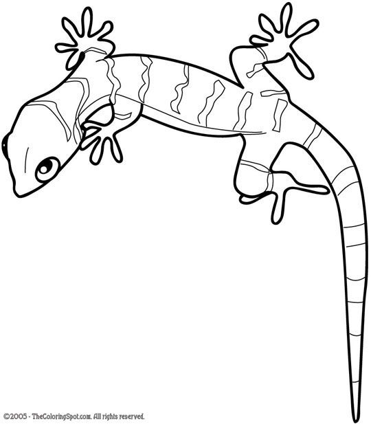 Coloring, Stories for kids and For kids