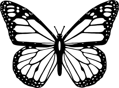 Vector clip art of black and white butterfly with wide spread ...