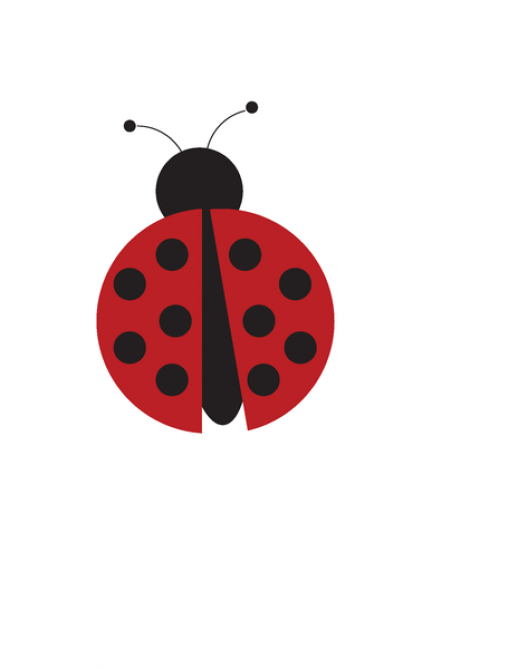 LadyBug Vector - AI - Free Graphics download