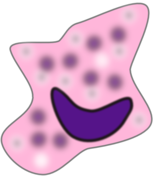 Macrophage 2 Clip Art - vector clip art online ...