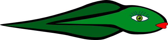 tadpole.png