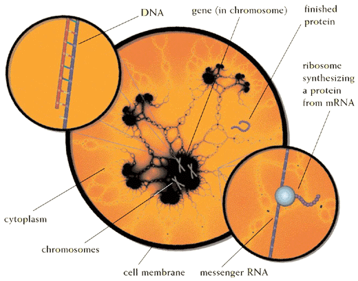 Technology Overview | Antisense