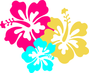 hibiscus-flowers-2-md.png
