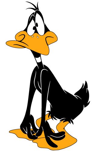1000+ images about Cartoon Birds