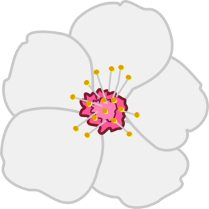 Apple tree flowers clipart