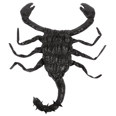 Scorpion Dog Costume - MEDIUM | Healthypets
