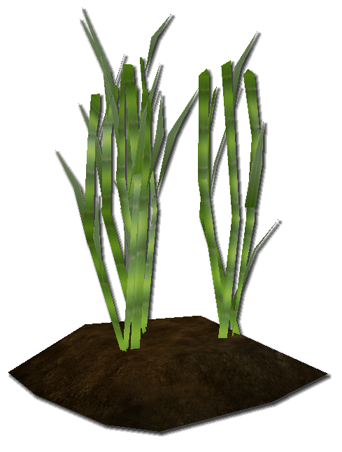 Image - Sugar cane.png | Pirates Online Wiki | Fandom powered by Wikia