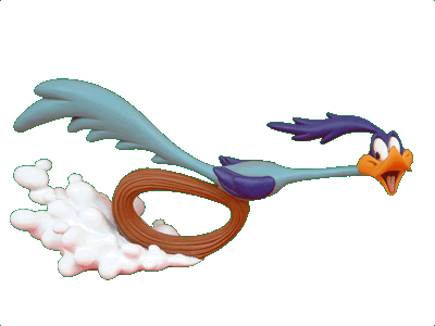 1000+ images about Roadrunners