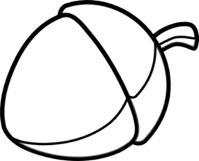 Acorn Drawing Clipart - Free to use Clip Art Resource