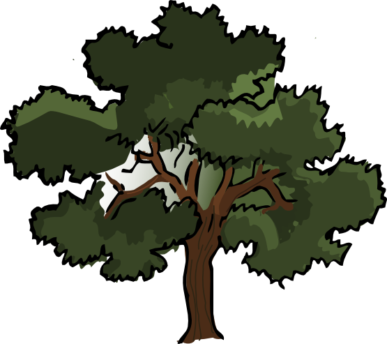 Oak tree SVG