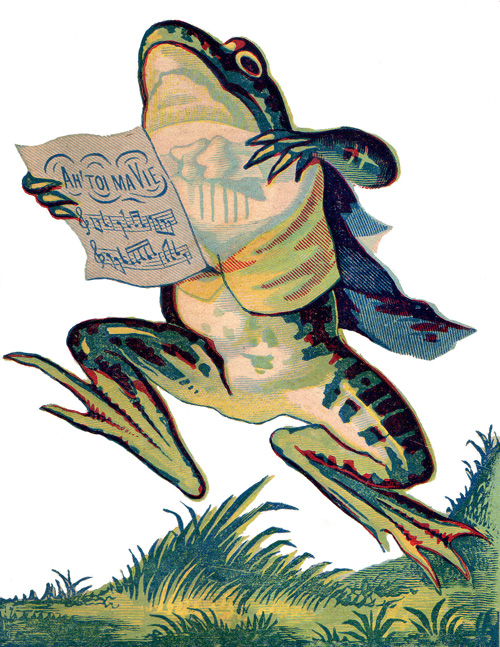 Frog Cartoons