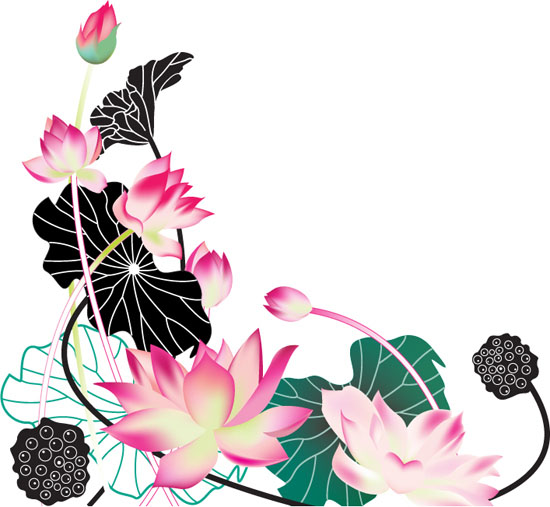 Three kinds of lotus, and Lotus Vector material_Vectors Download ...