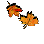 PicGifs.com - Free Graphics and Animated Gifs Gif Images