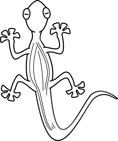 Lizard Template