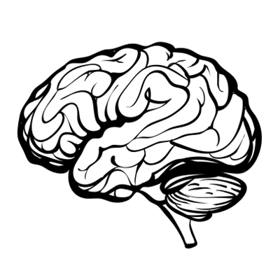 BrainHomepageSketch.jpg