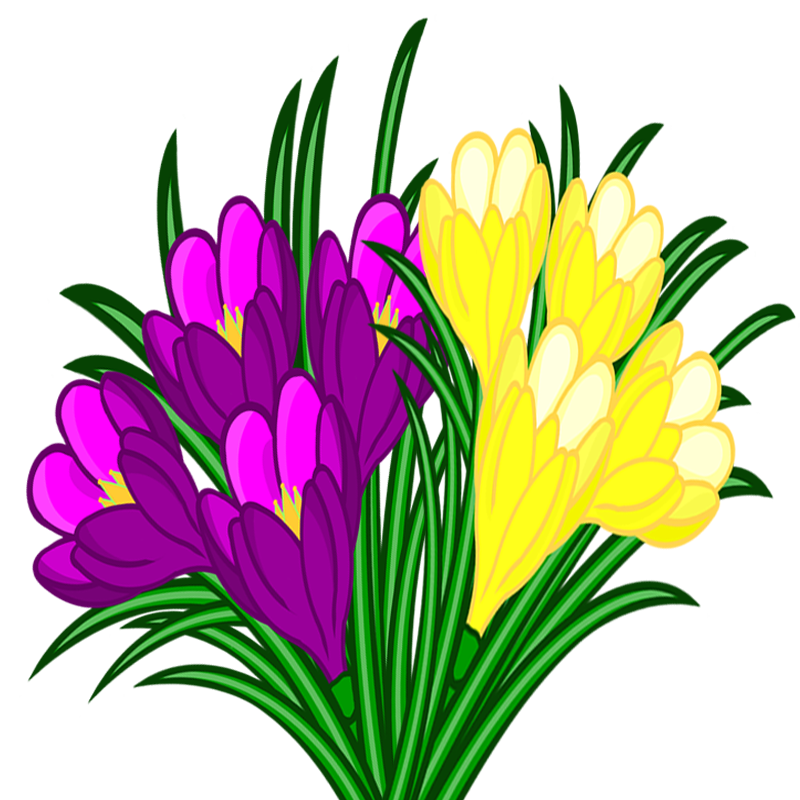 Blumen Â« Meine Internetseite