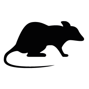 Clipart black and white silhouette rat