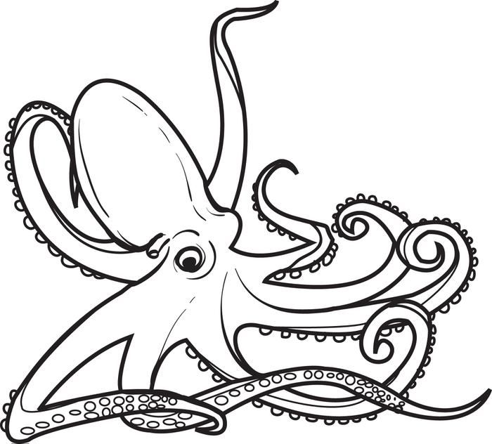 1000+ images about tattoo | The octopus, Octopus ...