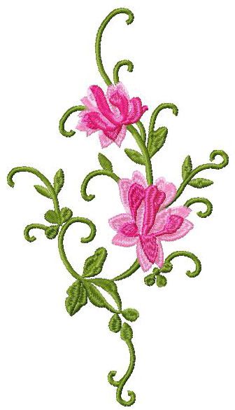 Google, Flower and Patterns