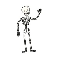 Cartoon Skeleton stock photos - FreeImages.com