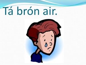1000+ images about Gaeilge | Celtic nations, Language ...