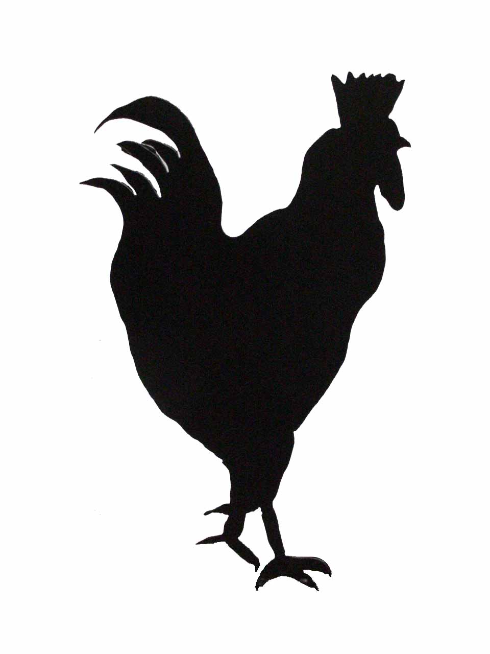 Crow Silhouette