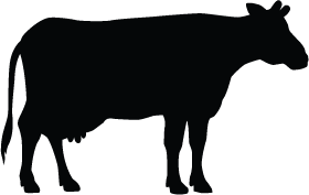 Cow Silhouette | Silhouette of Cow