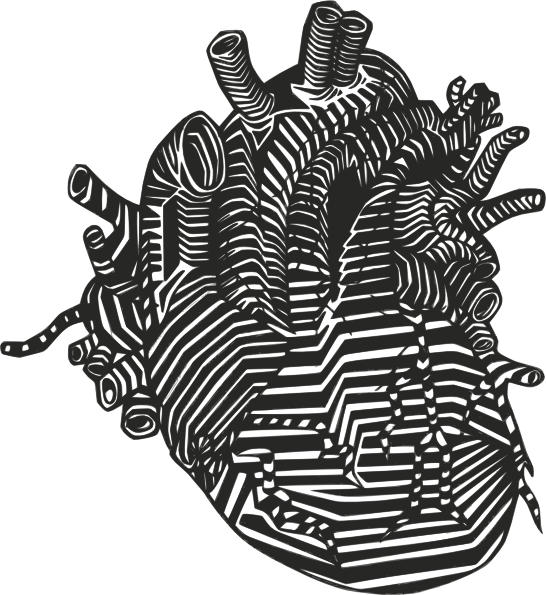 Brain Diagram Unlabeled