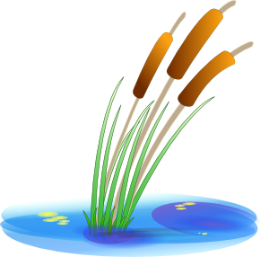 Reed clip art - vector clip art online, royalty free & public domain