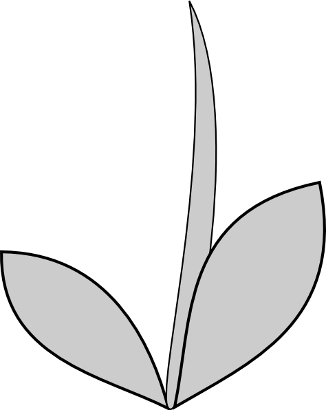 Gray Flower Stem clip art - vector clip art online, royalty free ...