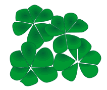 Shamrock Haiku Journal