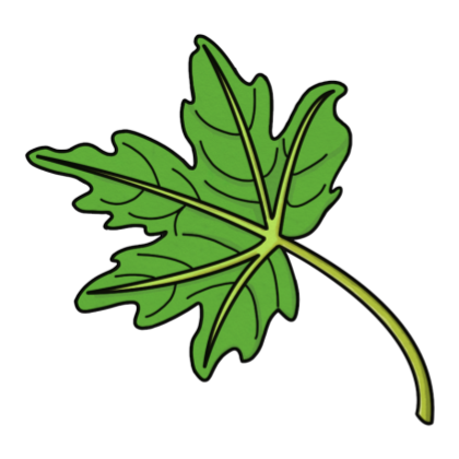 SMART Exchange - USA - Cartoon Plants