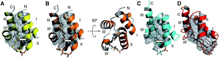 c2np20062g-f4.gif