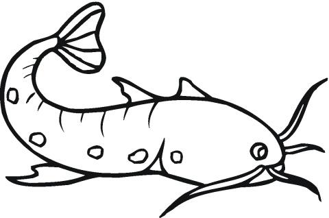 Catfish coloring pictures | Super Coloring