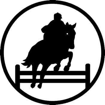 Cartoon Horse Jumping