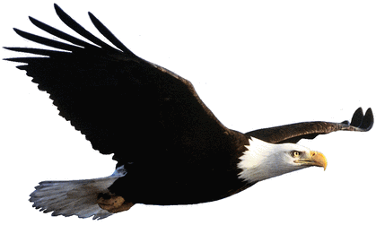 Sheboygan HOG Chapter March Newsletter #269