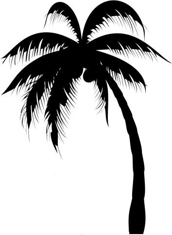 Palm Trees Designs - ClipArt Best
