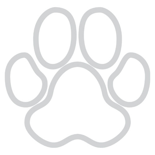 Dog Paw Outline Clipartgilgit-skardu-baltistan