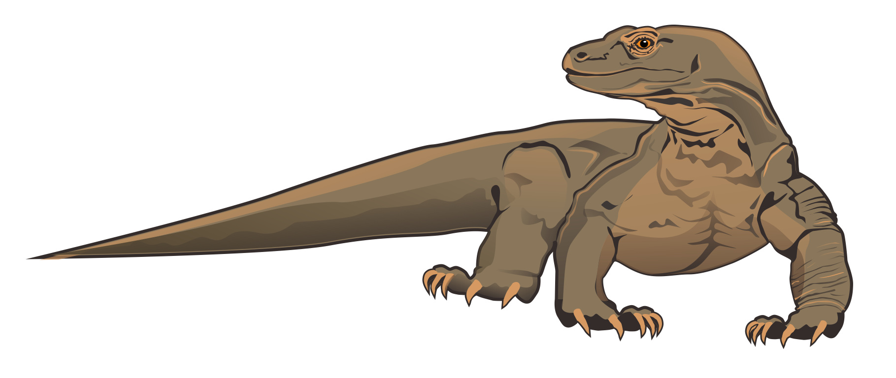 Free Komodo Dragon Clip Art