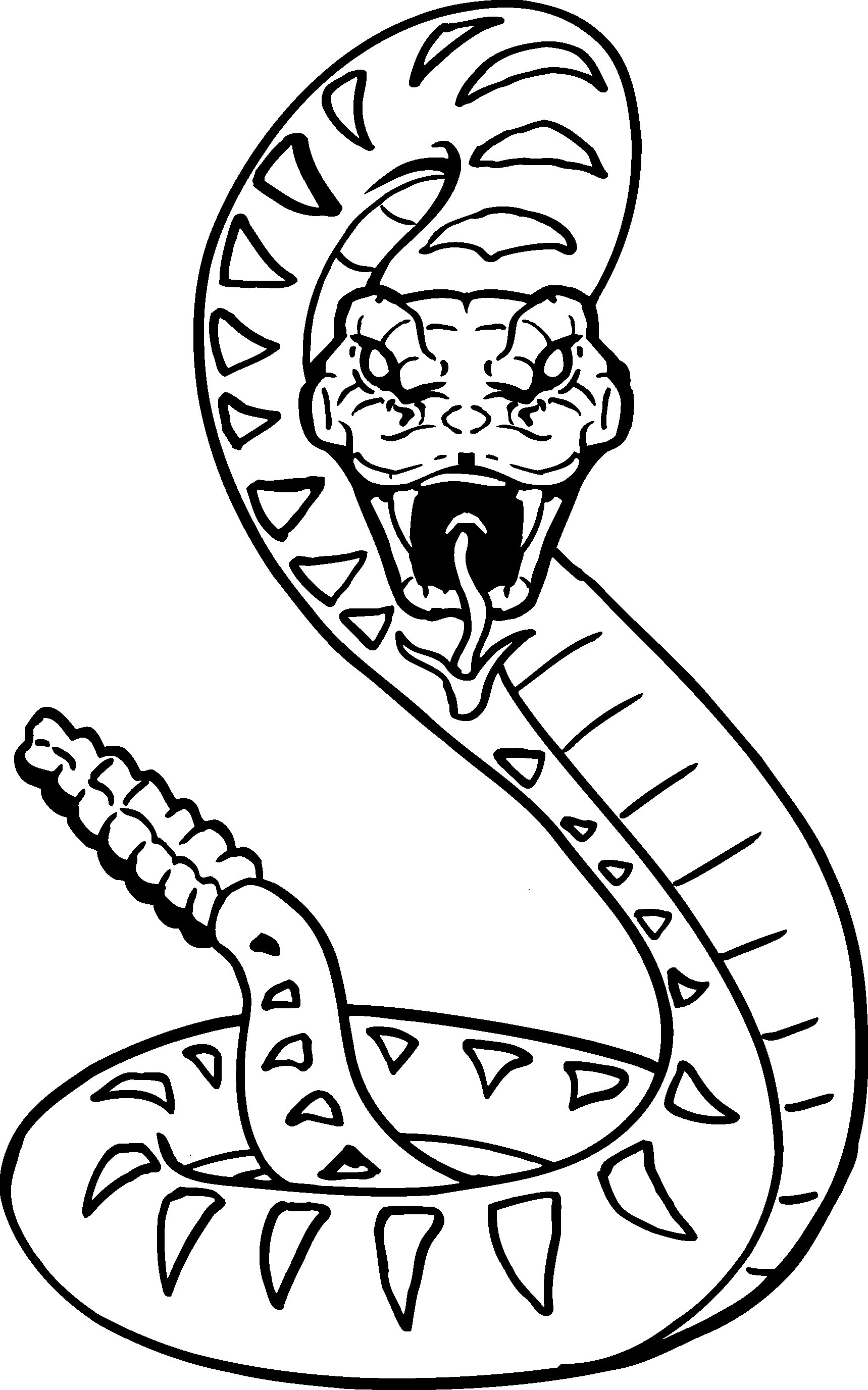 Snake Realistic Drawing | Drawing Images