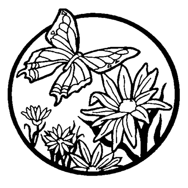 Butterfly Coloring Pages » Cenul – Free Coloring Pages For Kids