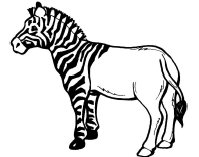 Animals worksheets and downloads » LessonSense.