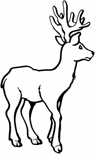 Deer 7 coloring page | Super Coloring